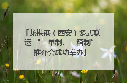 龙拱港（西安）多式联运 “一单制、一箱制” 推介会成功举办