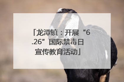 龙潭镇：开展“6.26”国际禁毒日宣传教育活动