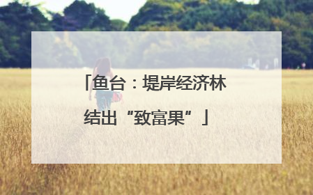 鱼台：堤岸经济林结出“致富果”