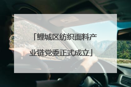 鲤城区纺织面料产业链党委正式成立
