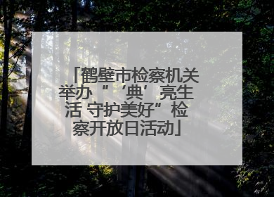 鹤壁市检察机关举办“‘典’亮生活 守护美好”检察开放日活动