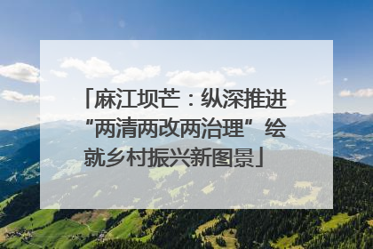 麻江坝芒：纵深推进“两清两改两治理”绘就乡村振兴新图景