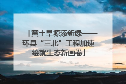 黄土旱塬添新绿——环县“三北”工程加速绘就生态新画卷