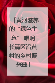 黄河滋养的“绿色生意” 唱响长清区沿黄村的乡村振兴曲