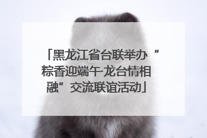 黑龙江省台联举办“粽香迎端午·龙台情相融”交流联谊活动