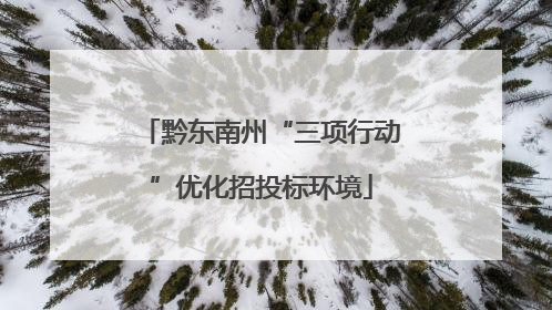 黔东南州“三项行动”优化招投标环境