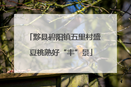 黟县碧阳镇五里村盛夏桃熟好“丰”景