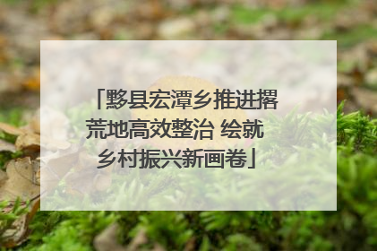 黟县宏潭乡推进撂荒地高效整治 绘就乡村振兴新画卷