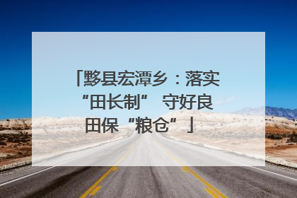 黟县宏潭乡：落实“田长制” 守好良田保“粮仓”