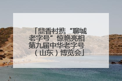 鼎香村携“聊城老字号”惊艳亮相第九届中华老字号（山东）博览会