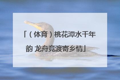 （体育）桃花潭水千年韵 龙舟竞渡寄乡情