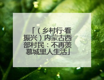 （乡村行·看振兴）内蒙古西部村民：不再羡慕城里人生活