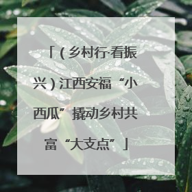 （乡村行·看振兴）江西安福“小西瓜”撬动乡村共富“大支点”