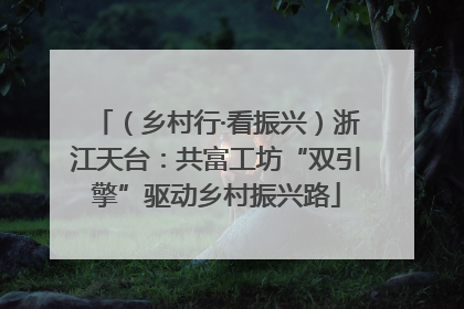 （乡村行·看振兴）浙江天台：共富工坊“双引擎”驱动乡村振兴路