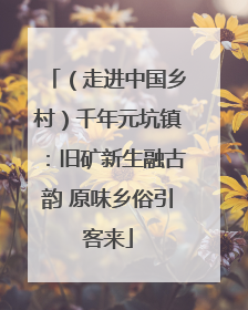 （走进中国乡村）千年元坑镇：旧矿新生融古韵 原味乡俗引客来