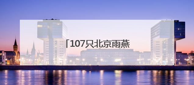 107只北京雨燕完成年度“体检”