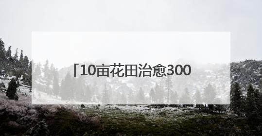 10亩花田治愈3000公里孤独，广水独眼小伙与他的“无尽夏”