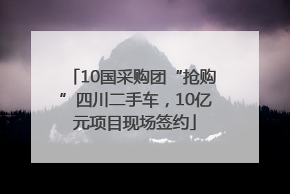 10国采购团“抢购”四川二手车，10亿元项目现场签约