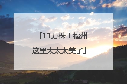 11万株！福州这里太太太美了