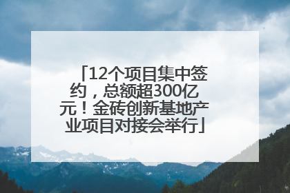 12个项目集中签约，总额超300亿元！金砖创新基地产业项目对接会举行