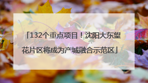 132个重点项目！沈阳大东望花片区将成为产城融合示范区