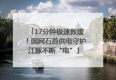 17分钟极速救援！国网石首供电守护江豚不断“电”