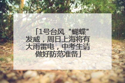 1号台风“蝴蝶”发威，周日上海将有大雨雷电，中考生请做好防范准备
