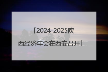 2024-2025陕西经济年会在西安召开
