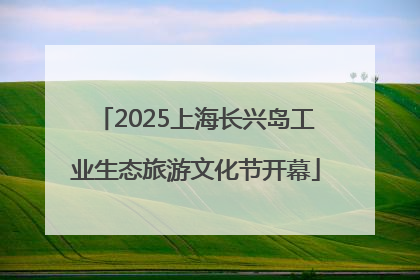 2025上海长兴岛工业生态旅游文化节开幕