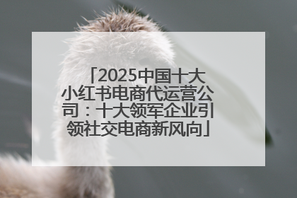 2025中国十大小红书电商代运营公司：十大领军企业引领社交电商新风向