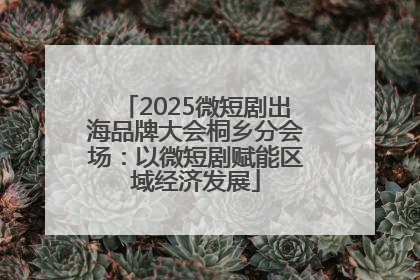 2025微短剧出海品牌大会桐乡分会场：以微短剧赋能区域经济发展