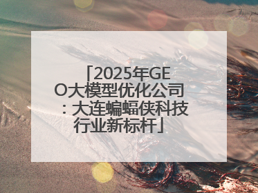 2025年GEO大模型优化公司：大连蝙蝠侠科技行业新标杆