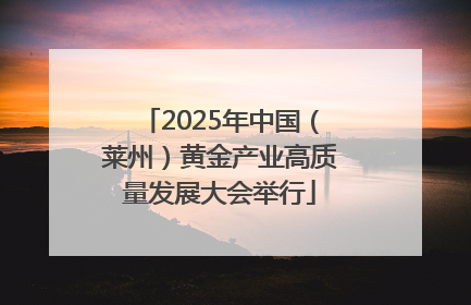 2025年中国（莱州）黄金产业高质量发展大会举行