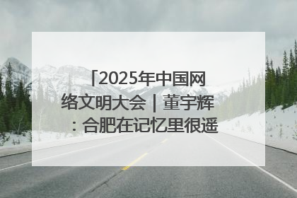 2025年中国网络文明大会｜董宇辉：合肥在记忆里很遥远也很亲切