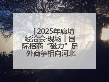 2025年廊坊经洽会·现场丨国际招商“磁力”足 外商争相向河北推介项目