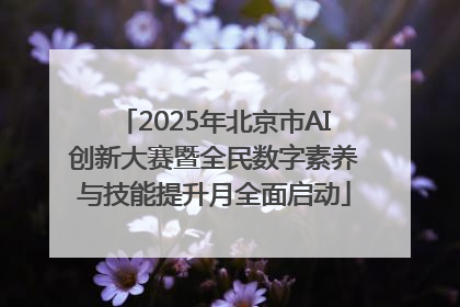 2025年北京市AI创新大赛暨全民数字素养与技能提升月全面启动
