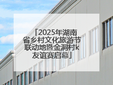 2025年湖南省乡村文化旅游节联动地暨金洞村k友谊赛启幕