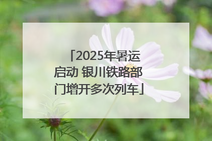 2025年暑运启动 银川铁路部门增开多次列车