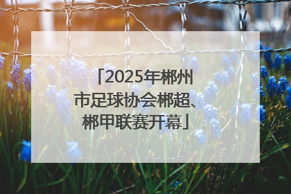 2025年郴州市足球协会郴超、郴甲联赛开幕