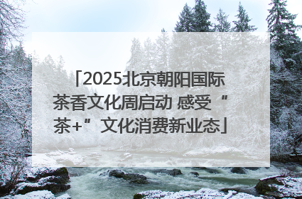 2025北京朝阳国际茶香文化周启动 感受“茶+”文化消费新业态