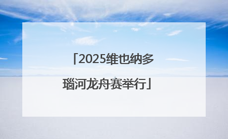 2025维也纳多瑙河龙舟赛举行