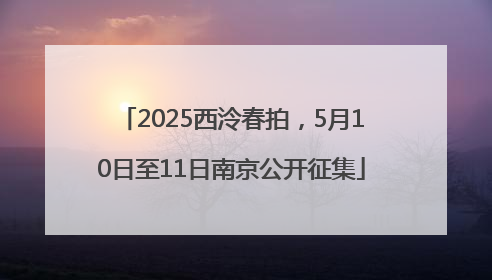2025西泠春拍，5月10日至11日南京公开征集