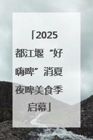 2025都江堰“好嗨啤”消夏夜啤美食季启幕