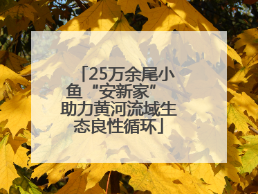 25万余尾小鱼“安新家” 助力黄河流域生态良性循环