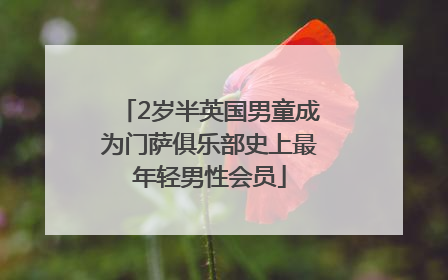 2岁半英国男童成为门萨俱乐部史上最年轻男性会员