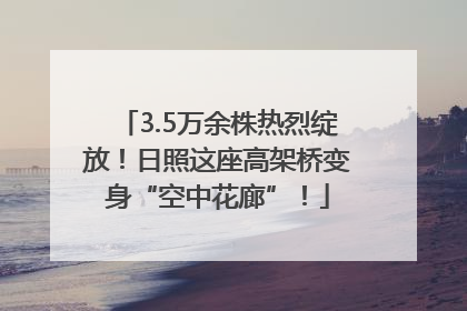 3.5万余株热烈绽放！日照这座高架桥变身“空中花廊”！