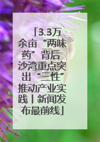 3.3万余亩“两味药”背后 沙湾重点突出“三性”推动产业实践丨新闻发布最前线