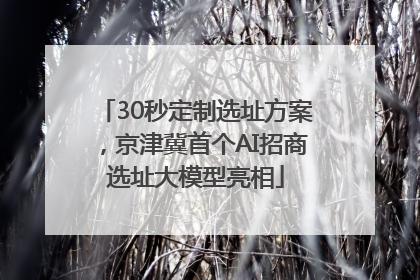 30秒定制选址方案，京津冀首个AI招商选址大模型亮相