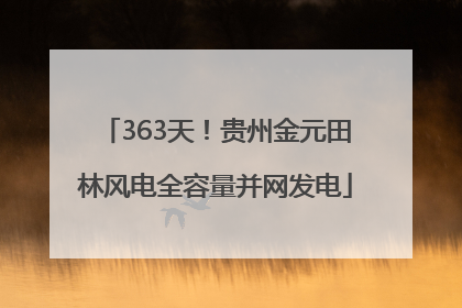 363天！贵州金元田林风电全容量并网发电