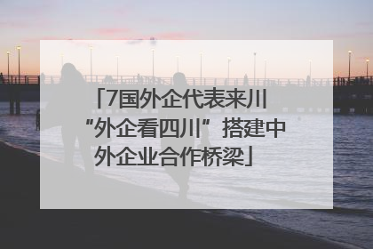 7国外企代表来川 “外企看四川”搭建中外企业合作桥梁